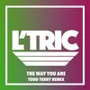 About The Way You Are Todd Terry Remix Song