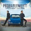 About Probablemente Song