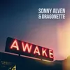 About Awake Song