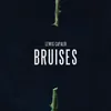 About Bruises Song