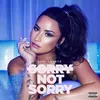 About Sorry Not Sorry Song