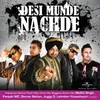 Bhangra Pauna Album Version