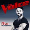 Wonderwall The Voice Australia 2017 Performance