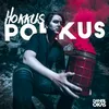 About Hokkus Pokkus Song