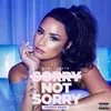 About Sorry Not Sorry Freedo Remix Song