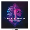 About Can You Feel It Song