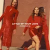 Little Of Your Love Wookie Remix