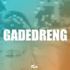 About Gadedreng Song
