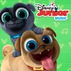 Puppy Dog Pals Main Title Theme