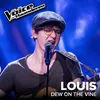 Dew On The Vine The Voice Van Vlaanderen 2017 / Live