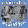 About Metsänpeto Vei Rakkaimpani Song