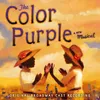 About The Color Purple Song