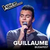 Budapest The Voice Van Vlaanderen 2017 / Live