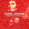 About Karl Johan Song