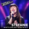 About What's Love Got To Do With It The Voice Van Vlaanderen 2017 / Live Song