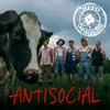 About Antisocial Song