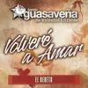 About Volveré A Amar Song