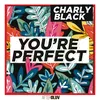 About You're Perfect Song