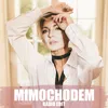 About Mimochodem Radio Edit Song