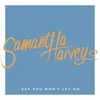 About Say You Won't Let Go Song
