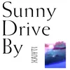 About Sunny Driveby Song