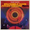 About Whatever It Takes Jorgen Odegard Remix Song