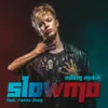 About Slowmo Song