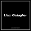 About Liam Gallagher Song