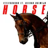 About Horse Song