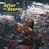 About After The Storm Song