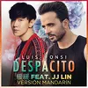 About Despacito 緩緩 Mandarin Version Song