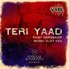 About Teri Yaad-Remix Song