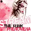 About The Funk Phenomena Radio Edit Song