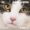 Jungle Van Beton-Titelsong "De Wilde Stad"
