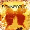 About Sommerfugl Song