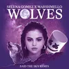 About Wolves Said The Sky Remix Song