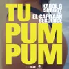 About Tu Pum Pum Song