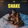 About Snake Song