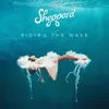 About Riding The Wave Song