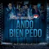 Ando Bien Pedo-En Vivo