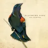 About Blackbird Song Song