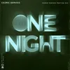 One Night-Cedric Gervais Festival Mix