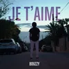 About Je t'aime Song