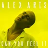 About Can You Feel It Song