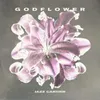 About GODFLOWER Song
