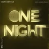 One Night Gerd Janson Remix