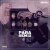 About PARA Remix Song