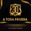 About A Toda Prueba Song
