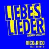 About Liebeslieder Einenkel Single Mix Song