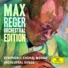 Reger: Requiem, WoO V/9 - 2. Dies irae